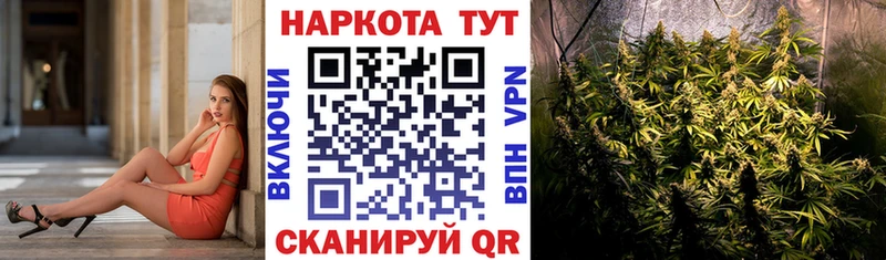 Купить наркотик аптеки Ачхой-Мартан Конопля