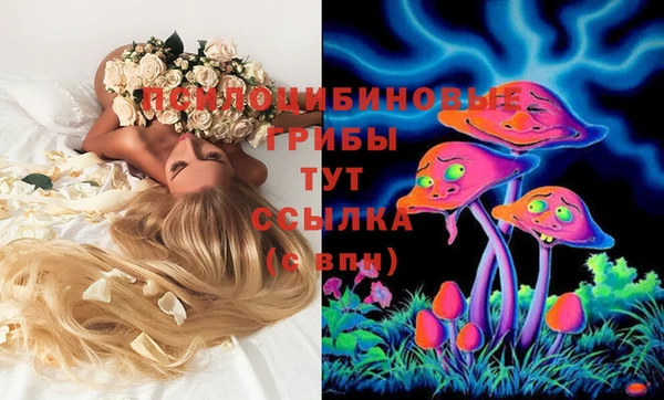 мескалин Бородино