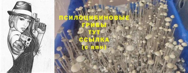 мескалин Бугульма