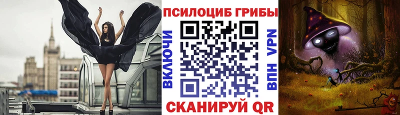 блэк спрут ONION  Ачхой-Мартан  Псилоцибиновые грибы прущие грибы 