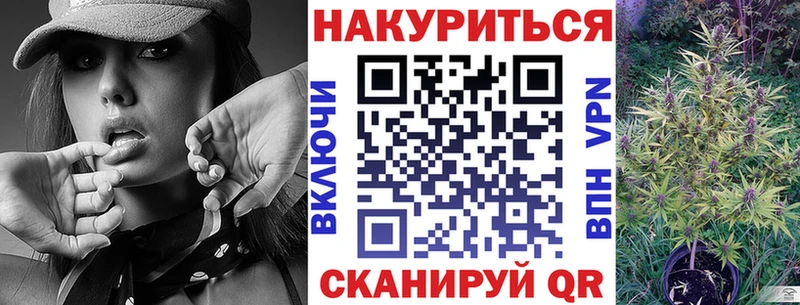 Шишки марихуана семена  наркотики  Ачхой-Мартан 